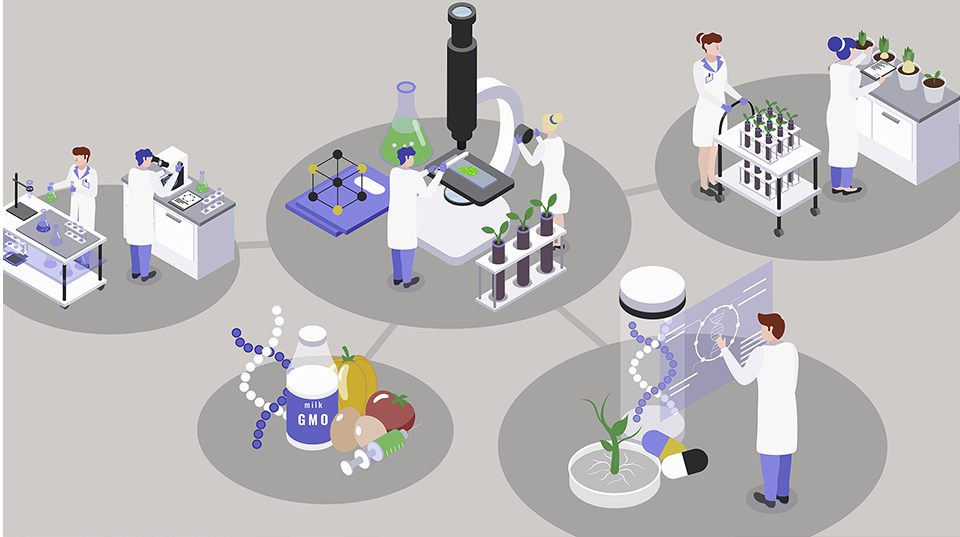 Beyond the Bedside: A Primer for Aspiring Startup Chief Medical Officers